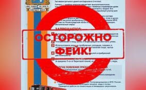 МЧС опровергло сообщения об аварии и разливе топлива в Приморске