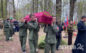 На Синявинских высотах в Ленобласти захоронили останки защитников Отечества