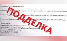 В Ленобласти предприятия стали получать фейковые письма о наборе в огневые группы