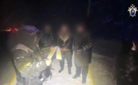 Мужчина пойдет под суд за убийство 20-летней давности в Ленобласти