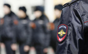 Жителя Всеволожского района заподозрили в квартирной краже на 5 тысяч рублей