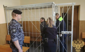 Подозреваемого в смертельном избиении женщины в Коммунаре отправили в СИЗО