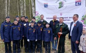 Акция «Сад Памяти» прошла у памятника девушкам-лесорубам во Всеволожском районе