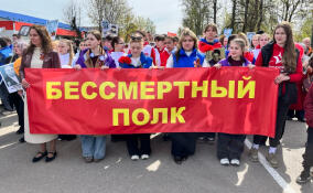 В Луге отпраздновали День Победы
