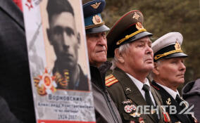 Шесть тысяч человек прошли в колонне «Бессмертного полка» в Кингисеппе — фоторепортаж ЛенТВ24