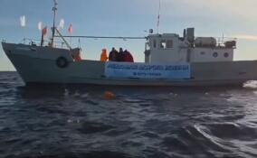 Ленинградские спортсмены преодолели 30-километровый ледяной маршрут по Дороге жизни