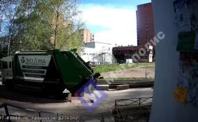 Мусоровоз в Петербурге насмерть сбил 88-летнюю женщину – видео