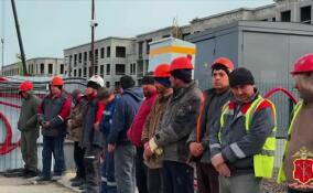 Миграционный рейд провели в фортах и на стройплощадке в Кронштадте