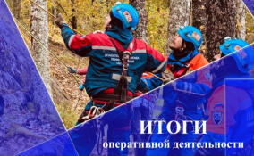 За неделю в Ленобласти спасатели 33 раза выезжали на различные вызовы