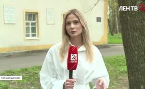 В музее-усадьбе Суйда открылась выставка «Реставрация: Вторая жизнь реликвий семьи Ганнибалов»