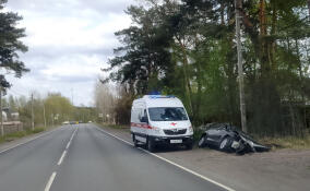 Иномарка улетела в кювет в Лебяжьем