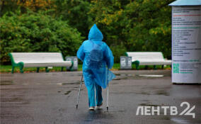 В Ленобласти в среду ждут до +24, дожди и грозы