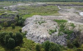 Суд обязал компанию ликвидировать крупную свалку в Ново‑Сергиевке