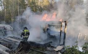 За сутки в Ленобласти потушили 14 пожаров