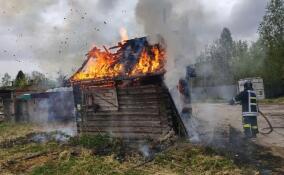 За сутки в Ленобласти потушили 21 пожар: спасены семь человек