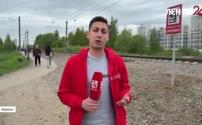 В Мурино проходит акция по предупреждению травмирования граждан на железной дороге