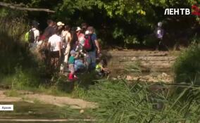 Тихвинский район лидирует в 47-м регионе по количеству укушенных клещами