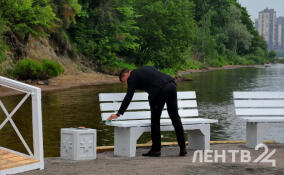 Вечером дожди с грозами, днем до +26 градусов: о погоде в Ленобласти 18 мая