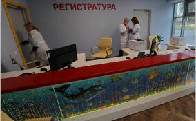 Медучреждения Ленобласти подготовились к наплыву дачников из Петербурга
