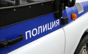 Из окна дома на Петергофском шоссе 40-летний мужчина бросал петарды