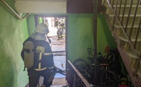 За сутки в Ленобласти потушили 13 пожаров