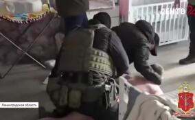 В Петербурге полицейские раскрыли мошенническую схему с выплатами участникам СВО