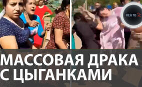 Массовая драка с цыганками под Волгоградом: жительницы посёлка не поделили парк с табором?