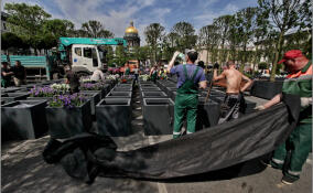 У Исаакиевского собора завершают обустройство сада-трансформера