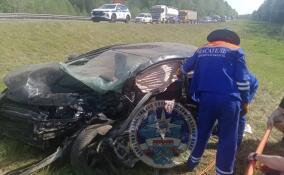 Уголовное дело завели после смертельного ДТП на трассе «Кола» в Ленобласти