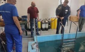 Спасатели Ленобласти подтвердили квалификацию для проведения водолазных работ
