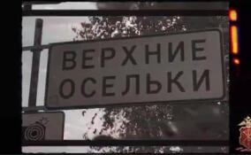 Полицейские проверили более 280 человек в рамках рейда в деревне Верхние Осельки