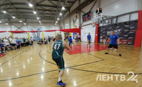 Баскетбол 3×3: 32 корпоративные команды сразились за победу в турнире Ленобласти