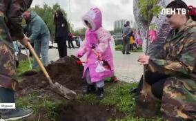 В Мурино заложили аллею для многодетных семей