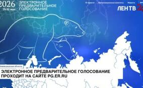 Праймериз «Единой России». Алексей Ломов рассказал, как работает система и что это дает региону