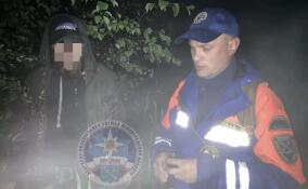 В Волховском районе нашли заблудившегося в ночном лесу мужчину