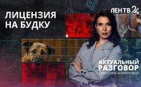 Лицензирование приютов для животных: какое наказание ждёт за отсутствие лицензии