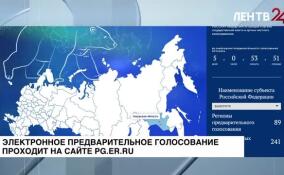Волонтеры «Единой России» помогут жителям Ленобласти с техническими вопросами во время праймериз