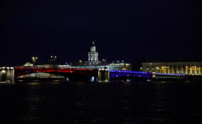 Мосты Петербурга подсветят цветами российского флага в День города