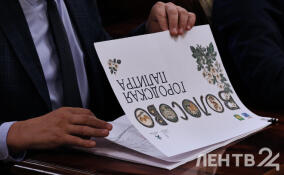 Восемь проектов Ленобласти отправят на конкурс благоустройства в малых городах и исторических поселениях