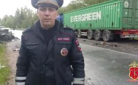 Двое взрослых и восьмилетняя девочка погибли в лобовом столкновении в Бокситогорском районе