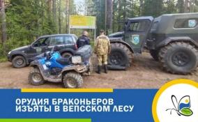 В «Вепсском лесу» нашли тайный склад с орудиями браконьеров
