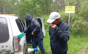 Мужчина заблудился и провел целую ночь в заказнике «Поддубно‑Кусегский»