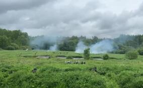 Военно-медицинская академия провела в Красном Селе масштабные учения
