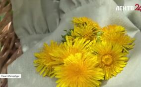 Как приготовить варенье из одуванчиков