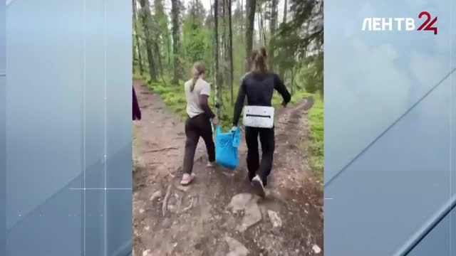Туристы нашли нерпу на берегу Ладоги в Карелии