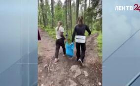 Туристы нашли нерпу на берегу Ладоги в Карелии