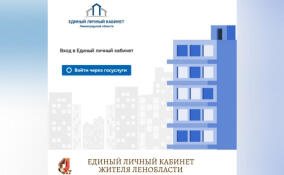 Жителей Ленобласти приглашают подключиться к Единому личному кабинету