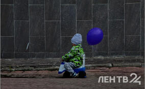 В Ленобласти уменьшилось число детей-сирот
