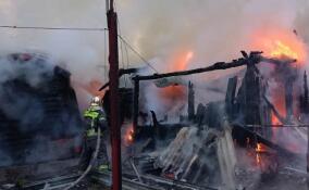 За сутки в Ленобласти потушили 15 пожаров