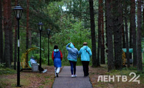 Небольшие дожди и до +19 градусов: о погоде в Ленобласти 1 июня